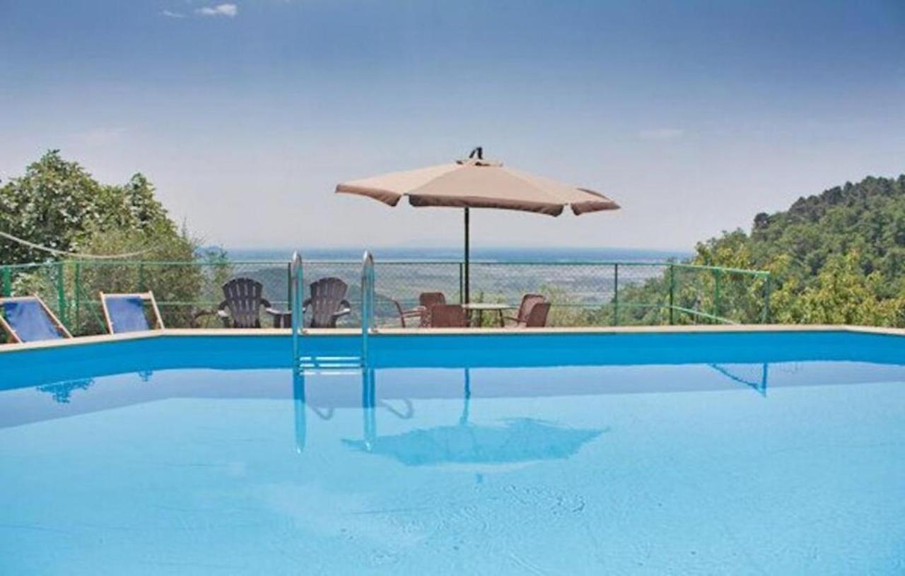 Villa Las Palmas By Nicola Real Estate Corsanico-Bargecchia Exterior photo